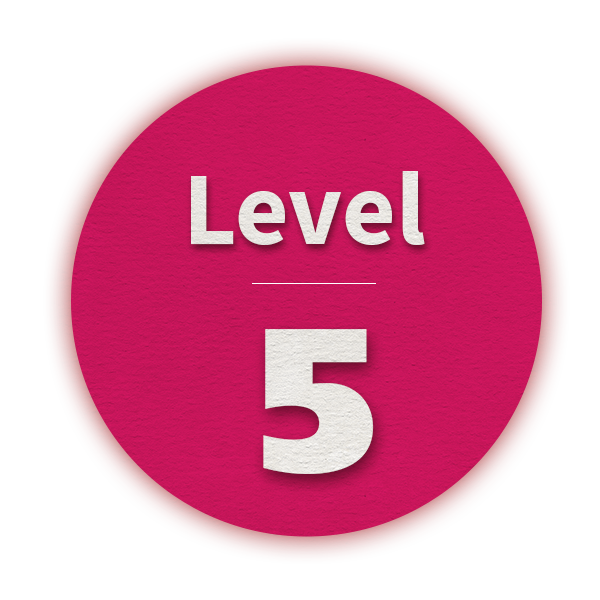 Level5