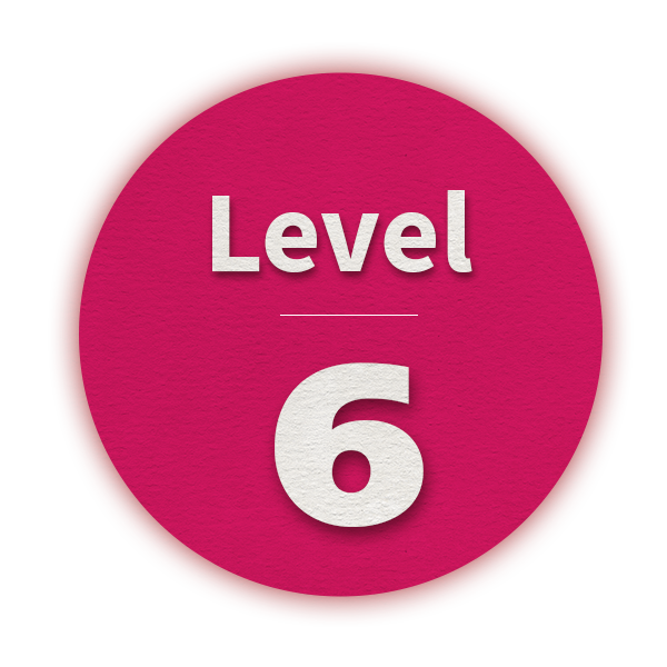 Level6